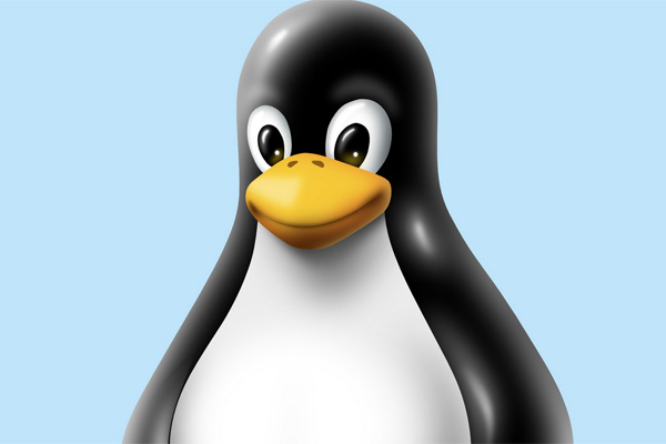 Власти предложили участникам рынка вместе искать дыры в Linux