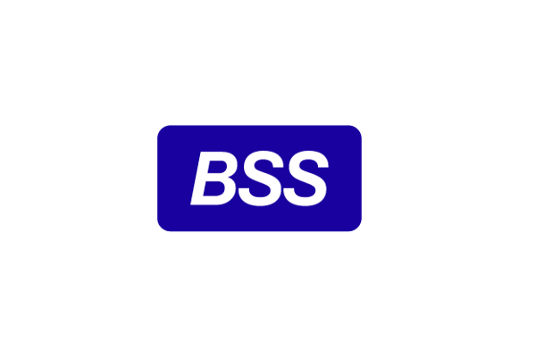 BSS усилила свои позиции в Топ-20 рэнкинга крупнейших ИТ-компаний по версии RAEX