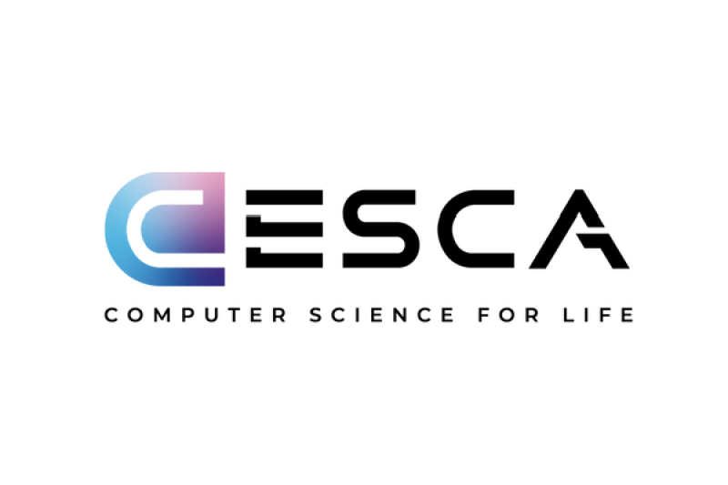 CESCA вошла в рэнкинг крупнейших российских ИТ-компаний рейтингового агентства RAEX-Аналитика