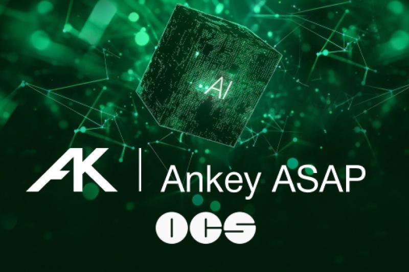 Ankey ASAP — программный комплекс поведенческой аналитики пользователей и сущностей. Неогранённый UEBA — проведём процесс огранки класса решений