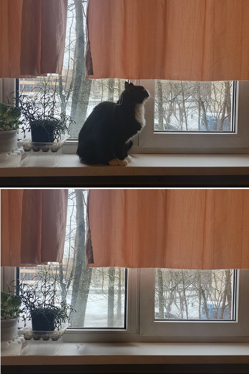 Ella удалила котика с подоконника &ndash; то, что обозревателю не удавалось сделать вручную