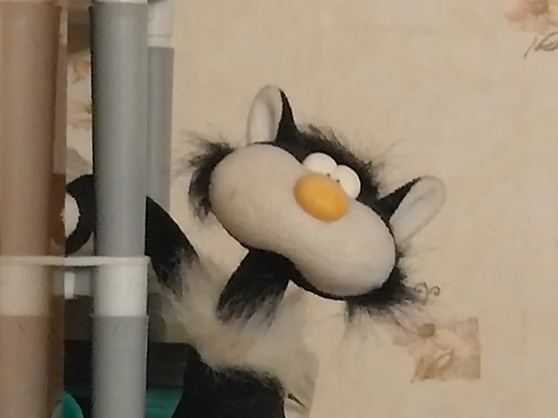 Съемка на основную камеру с зумом 5x Съемка на основную камеру с зумом 5x