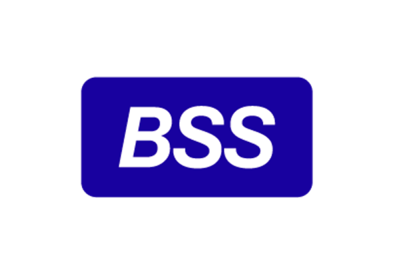 Автоматизация в MAX за 1 неделю: как BSS помогает госсектору и бизнесу улучшить сервис