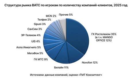 Структура рынка ВАТС по игрокам по количеству компаний-клиентов, 2025 год Структура рынка ВАТС по игрокам по количеству компаний-клиентов, 2025 год