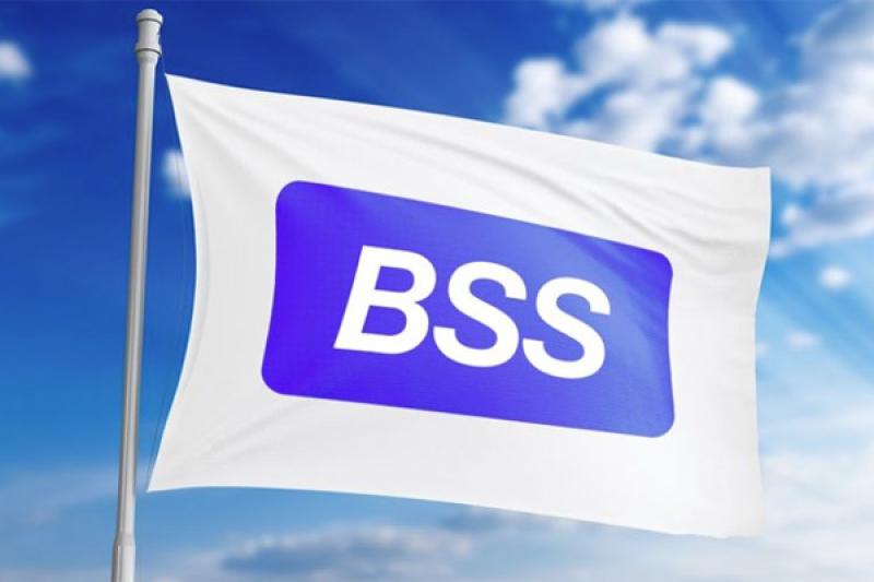 На фоне рыночной турбулентности BSS удерживает позиции в Топ-25 крупнейших ИТ-компаний России по версии RAEX