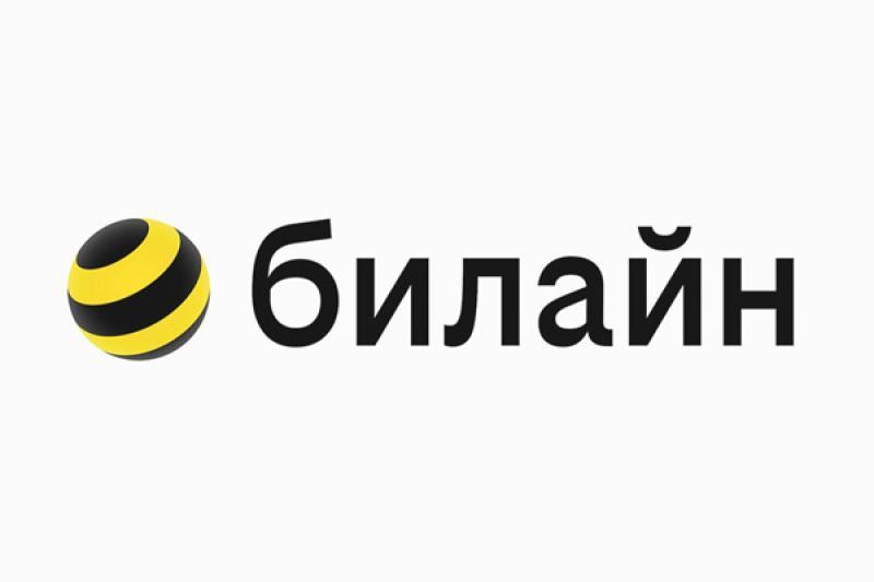 Билайн подсчитал мобильный трафик на ИТ-Пикнике в Москве