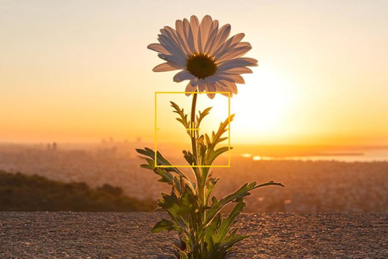 restore: объявляет старт open call конкурса мобильной фотографии restore: mobile photo awards 2026