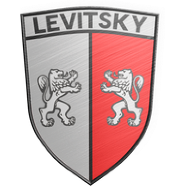 Левицкий Концепт